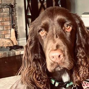 Meet your Posher, Marilyn